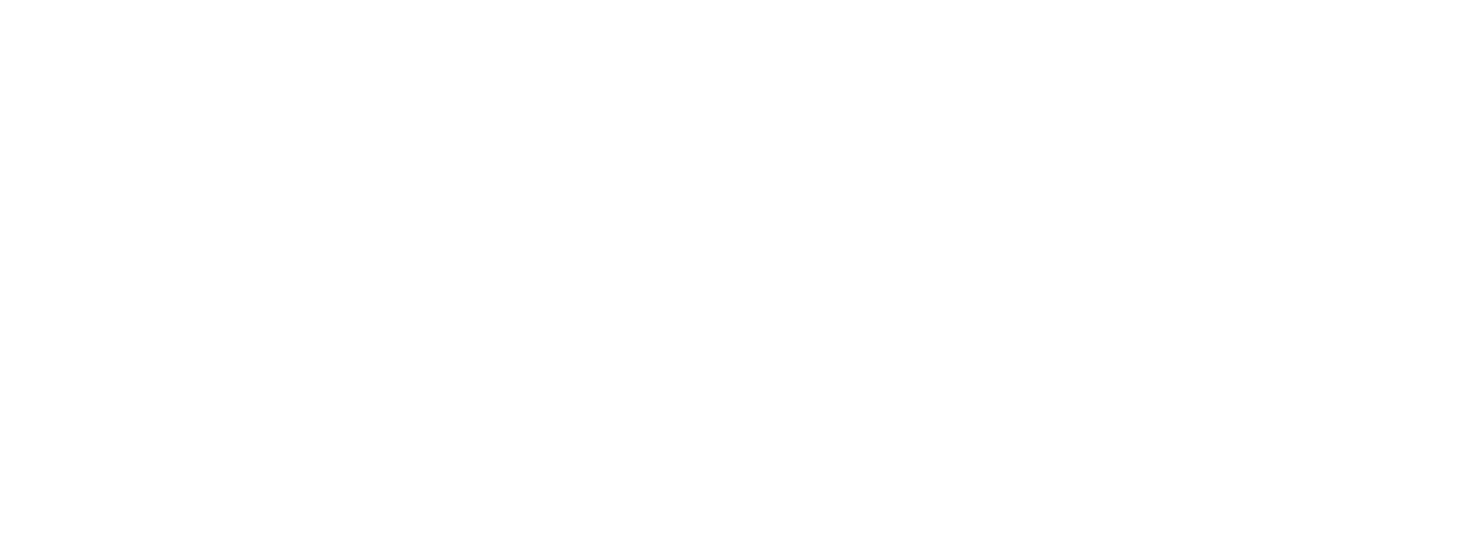 WIYIL Security Services